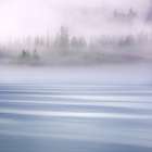 Alaska-Endicott Arm Foggy morning at Fords Terror Art Print